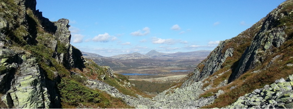 Utsikt over Venabygdsfjellet om sommeren